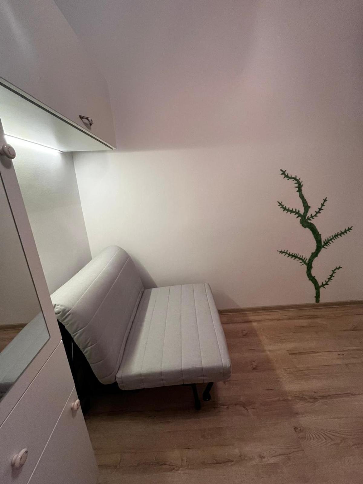 Mimosa Studio Cluj-Napoca Eksteriør billede
