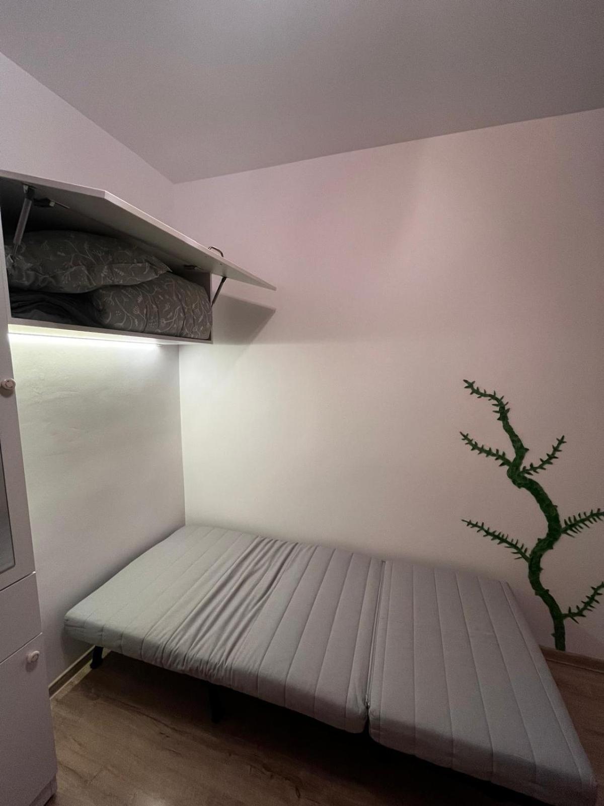 Mimosa Studio Cluj-Napoca Eksteriør billede