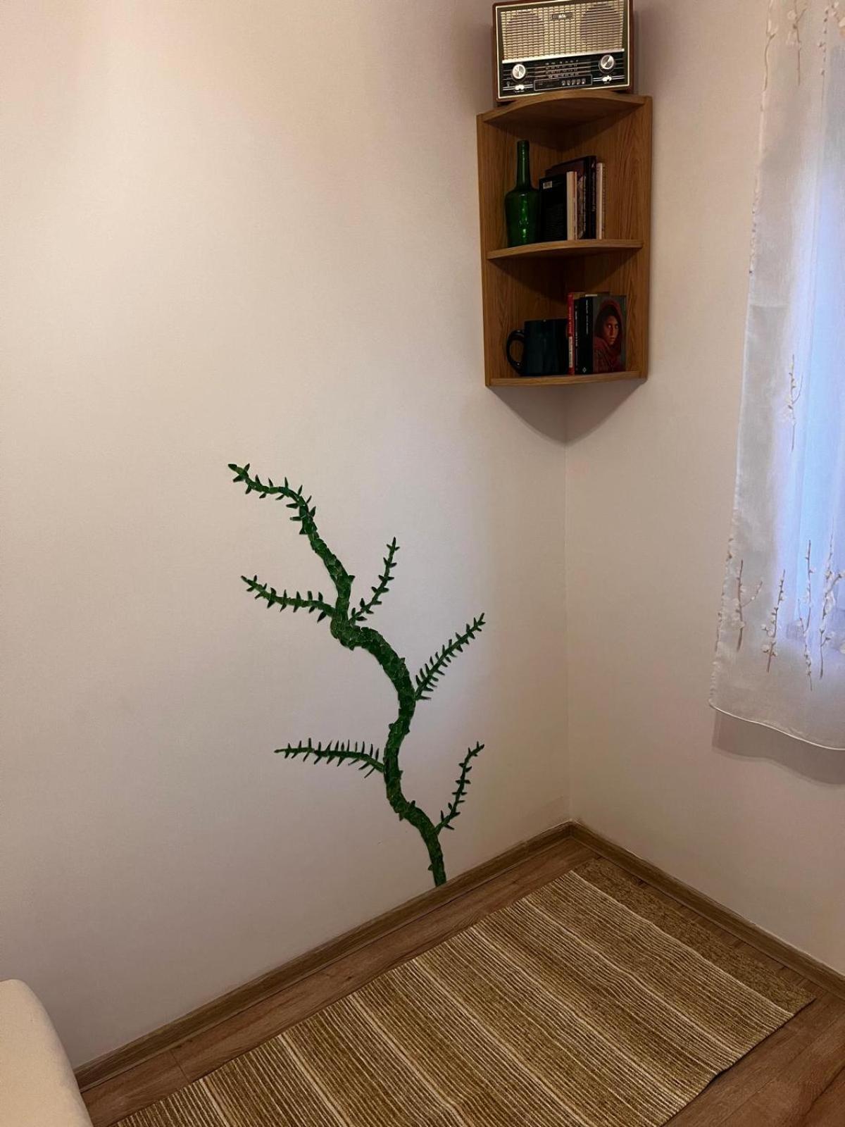 Mimosa Studio Cluj-Napoca Eksteriør billede