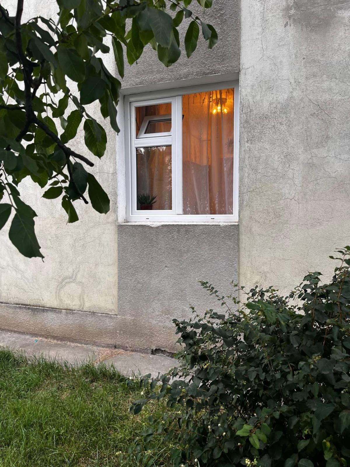 Mimosa Studio Cluj-Napoca Eksteriør billede