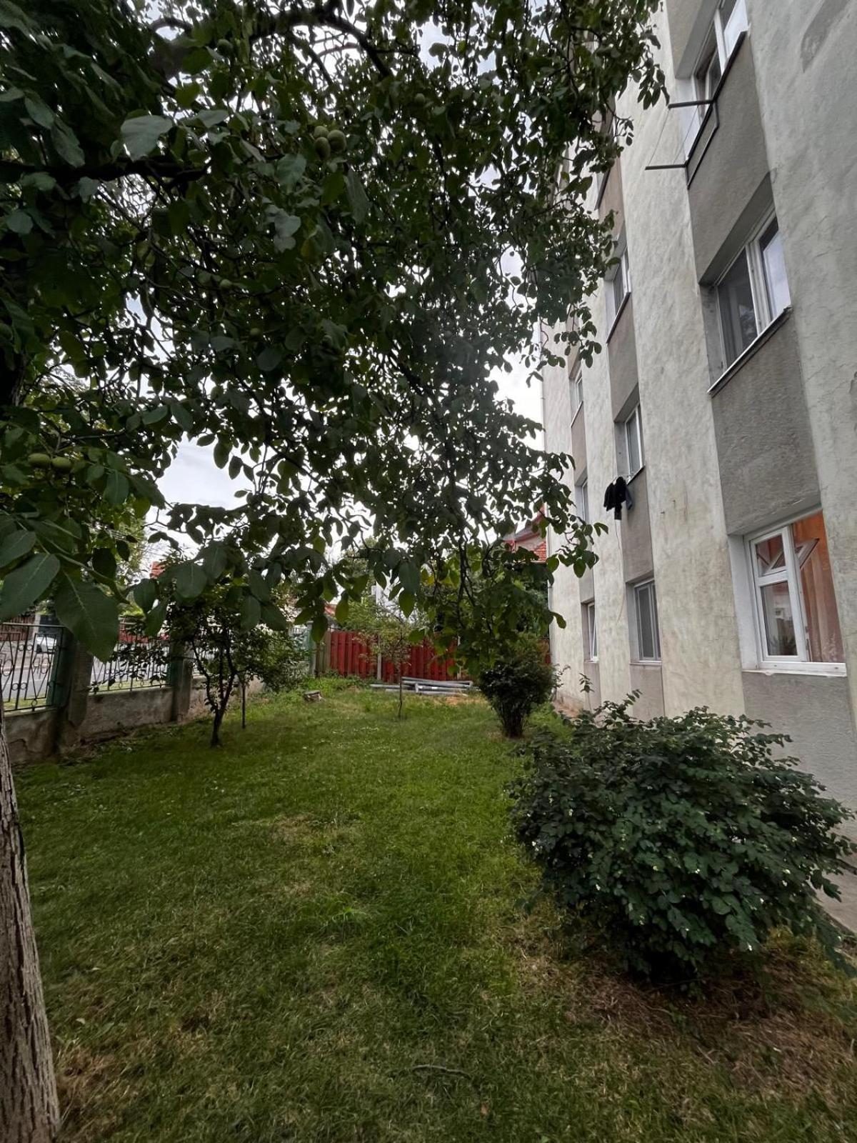 Mimosa Studio Cluj-Napoca Eksteriør billede