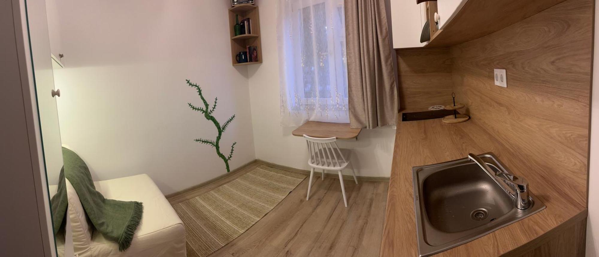 Mimosa Studio Cluj-Napoca Eksteriør billede