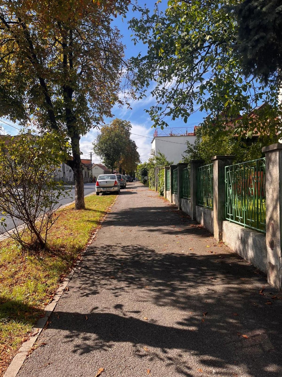 Mimosa Studio Cluj-Napoca Eksteriør billede